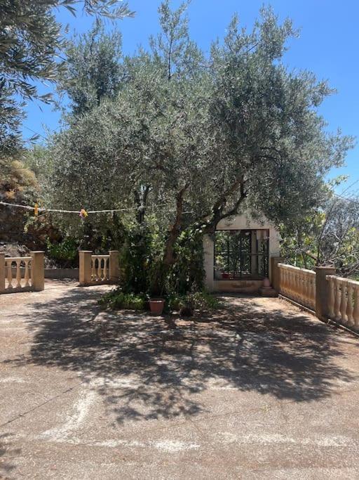 Farmhouse Surrounded By Centenary Olive Trees Olías Exterior foto